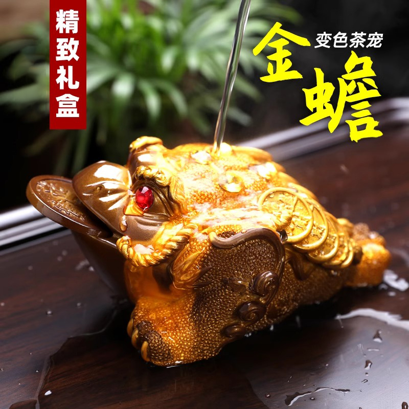 金蟾茶宠摆件精品可养变色茶具配件 大号金蟾高清大图