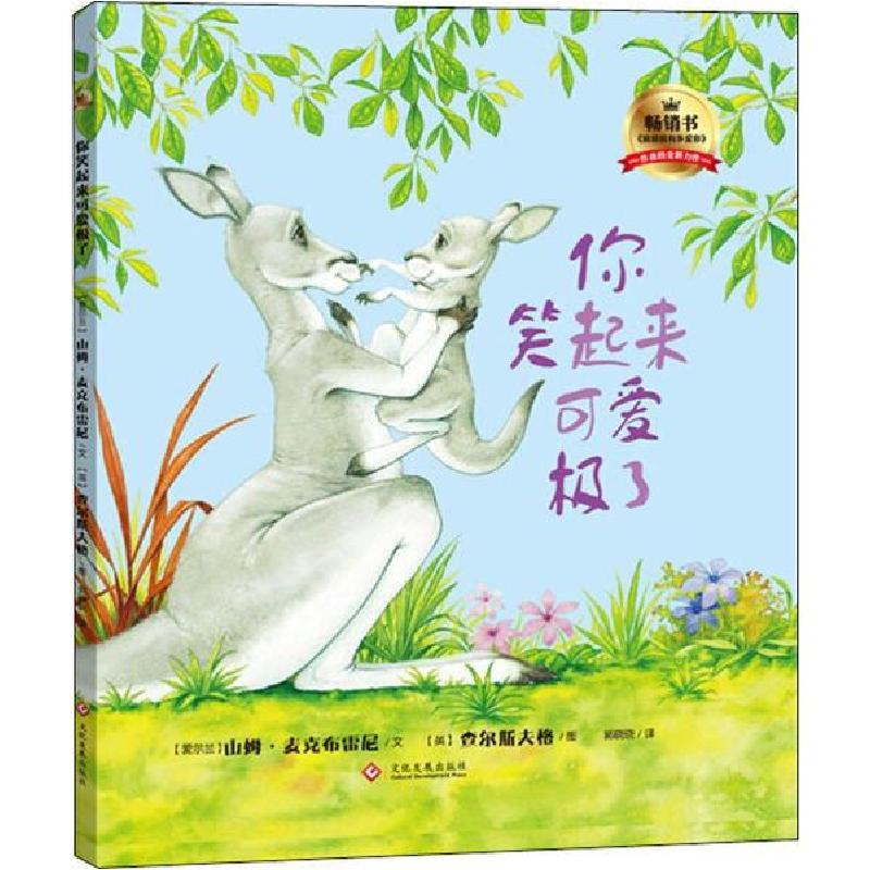 正版新书]你笑起来可爱极了山姆·麦克布雷尼9787514215847