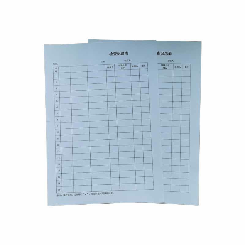 检查记录表 A4 张高清大图