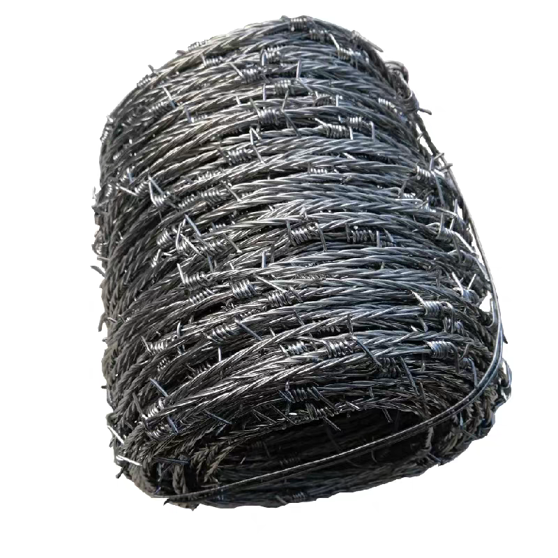 昌赞 刺绳 100米 捆高清大图