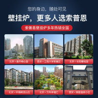 索普恩(SOOPOEN) 燃气壁挂炉天然气采暖地暖锅炉L1PB40-SF