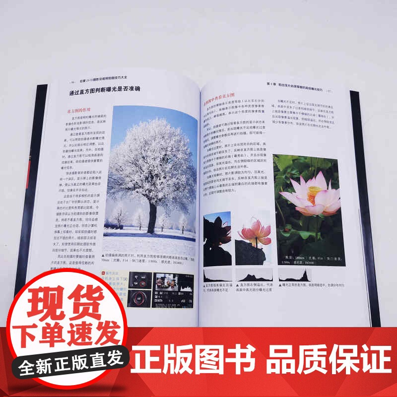 尼康Z6Ⅲ摄影及视频拍摄技巧大全 雷波 尼康微单摄影入门书籍教程书基础教学拍照相机摄像拍短视频新手操作 Nikonz63高清大图