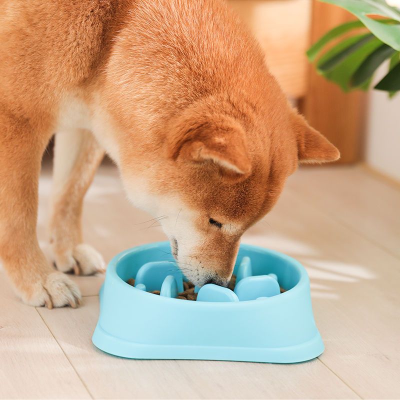 硅胶慢食碗紫色 0-30斤内狗狗适用(底部直径20.5*高4.5cm) 狗碗缓食盆狗盆狗粮盆狗狗泰迪法斗幼犬单碗防噎慢食