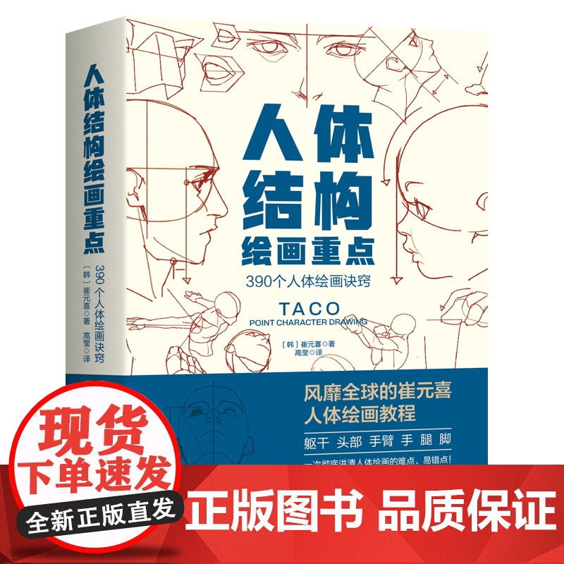 人体结构绘画重点 (韩)崔元喜 提升角色表现力吸引力人体绘画指南特定线条形状使角色更具说服力美术学画画艺术 人体绘画教高清大图