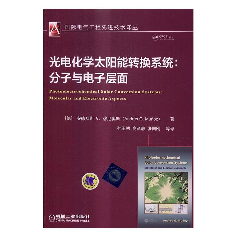 [正版]光电化学太阳能转换系统:分子与电子层面安德烈斯穆尼奥斯太阳能电池普通大众书工业技术书籍高清大图