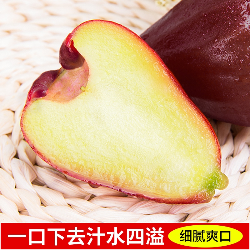 [西沛生鲜]海南黑金刚莲雾 热带水果 大果 净重4.5斤 单果80-120g 当季水果 现摘现发 清甜爽口高清大图