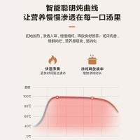 美的(Midea)电炖锅MD-DG30E201电炖盅养生炖盅多功能煮粥煲汤锅智能预约家用3L白瓷内胆智能