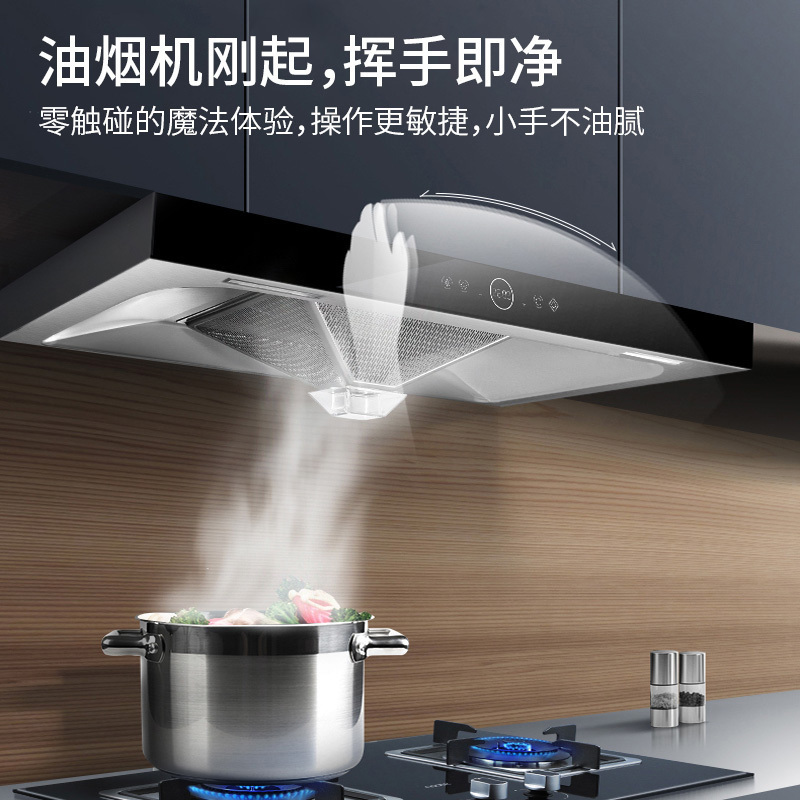 [国补20%]帅康(sacon)T8066抽油烟机欧式21立方大吸力吸油烟机自动清洗家用厨房易清洁顶吸式脱排油烟机抽烟机