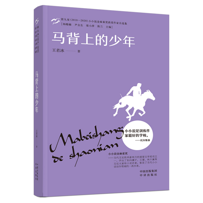 正版新书】马背上的少年王若冰9787500169970
