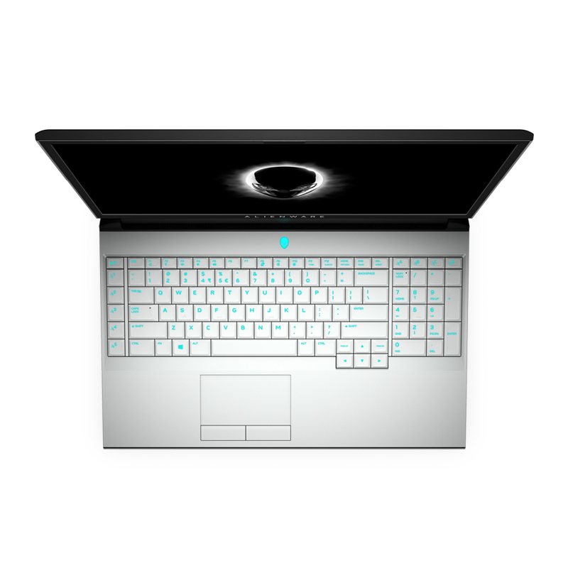 外星人(Alienware)ALWA51M-R1966W 17.3英寸游戏笔记本电脑(i7-9700K 16G内存 双512G固态 8G独显 )