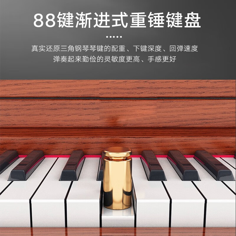 莫森(MOSEN)电钢琴青春系列88键电子数码钢琴初学考级家用高清大图