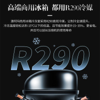 澳柯玛(AUCMA)VCF-1360HT四门冰箱商用冰柜不占地双温冷藏冷冻厨房酒店6开立式
