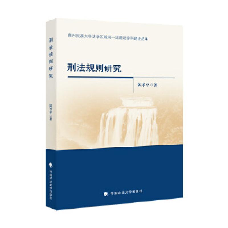 正版新书】刑法规则研究陈孝平著9787562090779