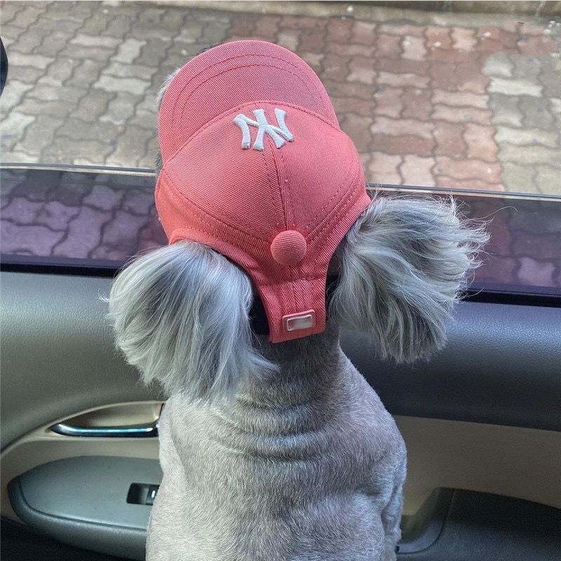 韩国ny宠物猫狗小帽子小型犬泰迪比熊la可爱露耳朵小狗棒球帽ins Ny橘粉s 小型报价 参数 图片 视频 怎么样 问答 苏宁易购