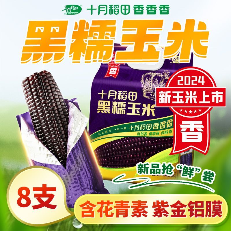 十月稻田黑糯玉米220g*8根东北软糯甘甜大棒富含花青素清香1.76kg