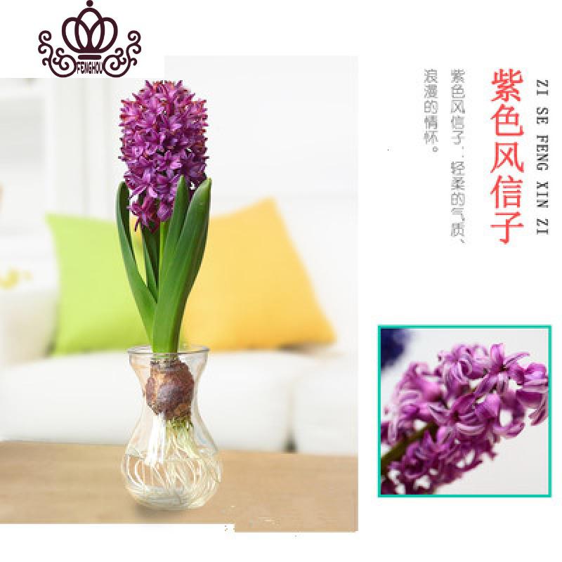 封后水培植物风信子洋水仙易活套装水养室内外种植绿植盆栽花卉紫色水培套装含盆参数配置 规格 性能 功能 苏宁易购