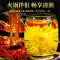 沈之问金丝皇菊枸杞茶一朵一杯正品黄菊花茶胎菊可搭金银花决明子