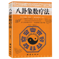 正版 象数疗法 李山玉李健民著 养生健康通 默念象数配方 易经易学五行阴阳配方 中医气 行数