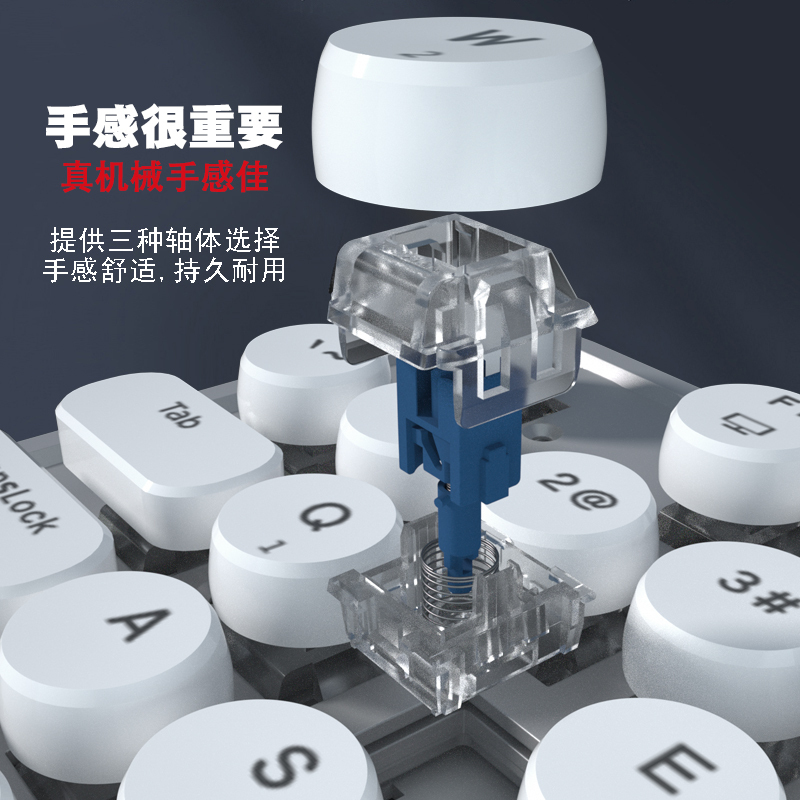 RK圆点(960)复古款机械键盘无线2.4G 有线 蓝牙三模插拔轴游戏电脑外设IPAD办公104键圆键帽白色背光白色茶轴
