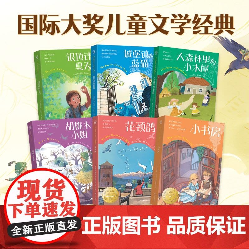 国际儿童文学经典系列全套6册 小学生三四五六年级课外阅读书纽伯瑞儿童文学金奖小说友情成长励志校园读物世界经典童话故事书正图片