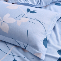 路易卡罗(Louiskellog) LK-3102 尚佳枕套 一对装 枕套