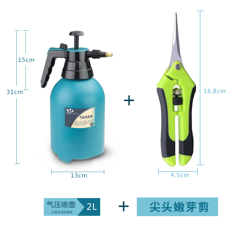 花陌园艺小型手动气压式压力浇花壶喷壶喷雾锁扣式家用绿植浇水壶_1 波斯蓝2L喷壶+尖头嫩芽剪