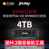 金士顿(Kingston) 4TB SSD固态硬盘 M.2接口(NVMe协议 PCIe 4.0×4) FURY系列