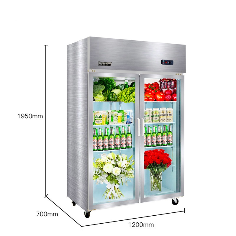 雪村xuecuncfr40b2t800l大二门商用冷柜立式陈列柜厨房冰箱冰柜商用