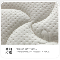 尔迈 3D椰棕20CM床垫 邦尼尔弹簧床垫 席梦思床垫 极光白1800*2200白