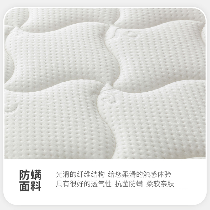 尔迈 3D椰棕20CM床垫 邦尼尔弹簧床垫 席梦思床垫 极光白1200*1900白