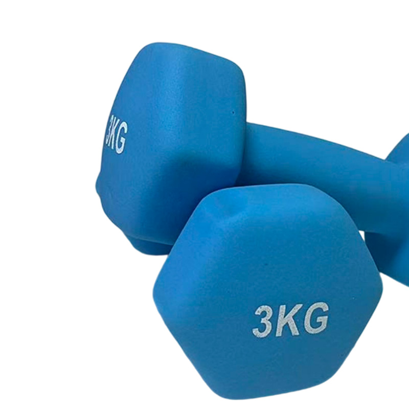 革康 GK-JSQC8085 浸塑哑铃健身锻炼六角哑铃男士运动力量训练3KG*2彩色小哑铃 蓝色高清大图