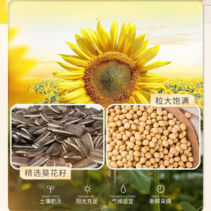 金龙鱼葵花籽食用调和油5L*2桶 清香型植物烹饪炒菜食用油图片