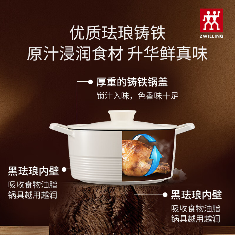 双立人德国龙铸铁Dragon珐琅锅家用汤锅炖盅焖烧锅煲汤炖海鲜锅 哑光黑-龙铸铁锅 22cm 3.5L