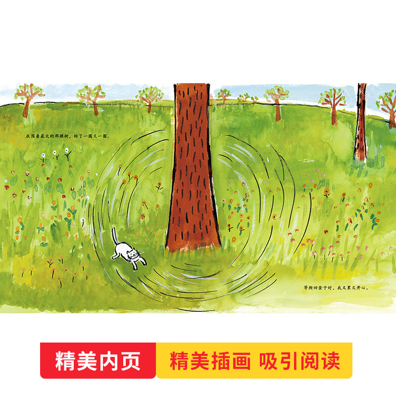 绿眼睛(精装) [正版]绿眼睛精装硬壳图画书凯迪克银奖绘本跟优美的文字描述随小猫感悟季节的变化适合0-6岁亲子阅读蒲蒲兰高清大图