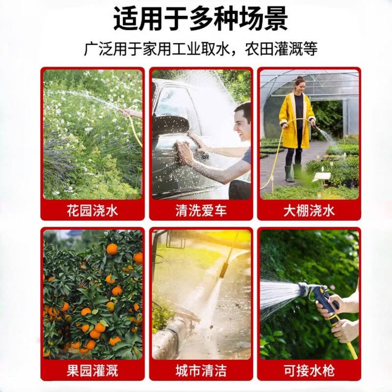 水龙珠(SHUILONGZHU)六分蛇皮管图片