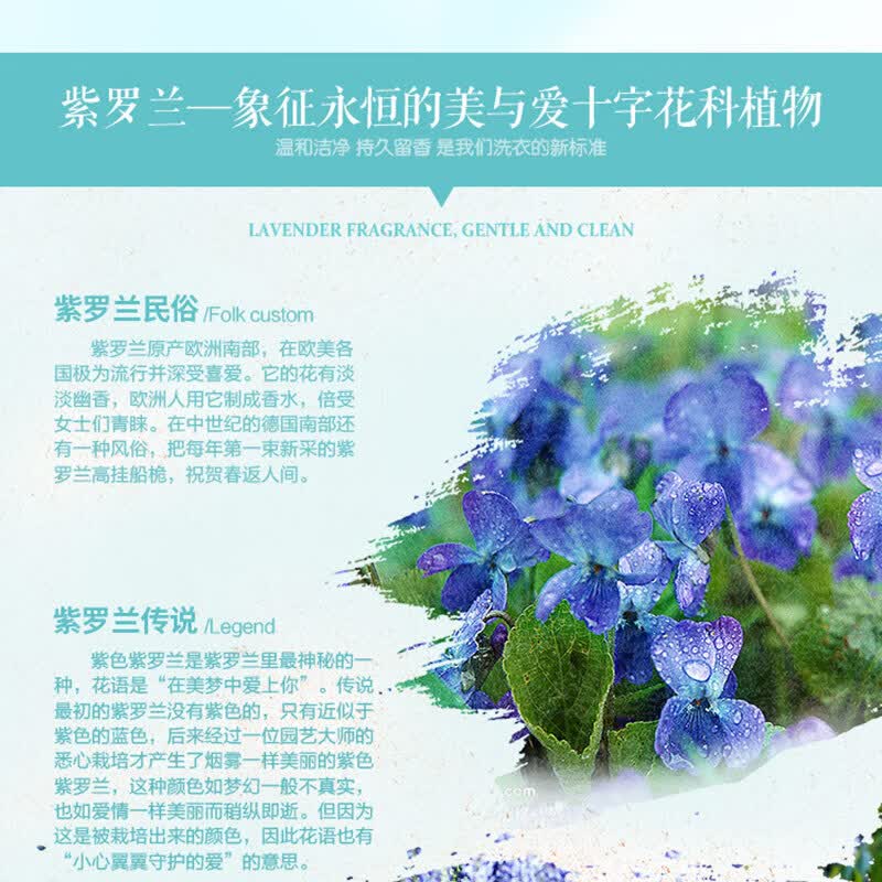 虹丝克润小蓝瓶洗衣液长效留香去污去渍抗菌抑菌内衣裤可用洁净衣物 紫罗兰花香2KG*2高清大图