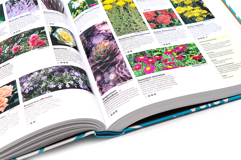 [正版]DK 英国皇家园艺学会植物大百科 英文原版 RHS What Plant Where Encyclopedia高清大图