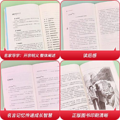 王子与贫儿 [正版]王子与贫儿彩插励志版 无障碍阅读 马克吐温著 6至12岁儿童文学故事书三四五六年级小学生语文课外阅读高清大图
