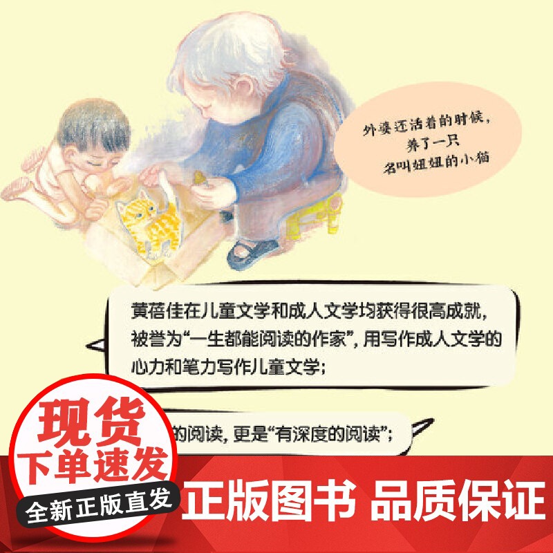 小猫妞妞高清大图