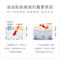 丽普司肽神经酰胺2件套爽肤水+修护乳深层水润修复角质层护肤化妆品
