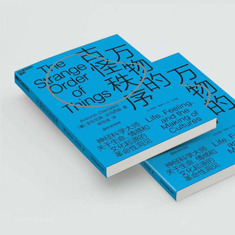 醉染图书万物的古怪秩序9787572201653高清大图