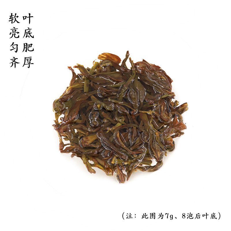 伍刻[凤凰单丛·酣畅淋漓]茉莉香 花香悠扬特级单枞大庵村60g 伍刻