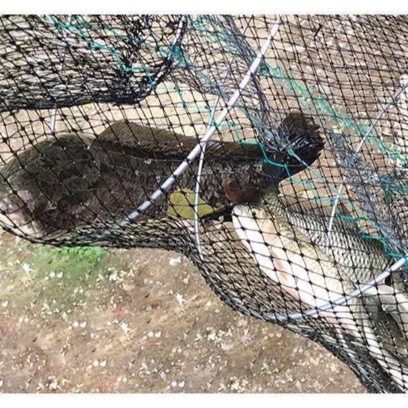 捕鱼笼虾笼渔网螃蟹笼折叠螃蟹网甲鱼笼鳖笼花篮弹簧笼黑鱼笼蟹网优质