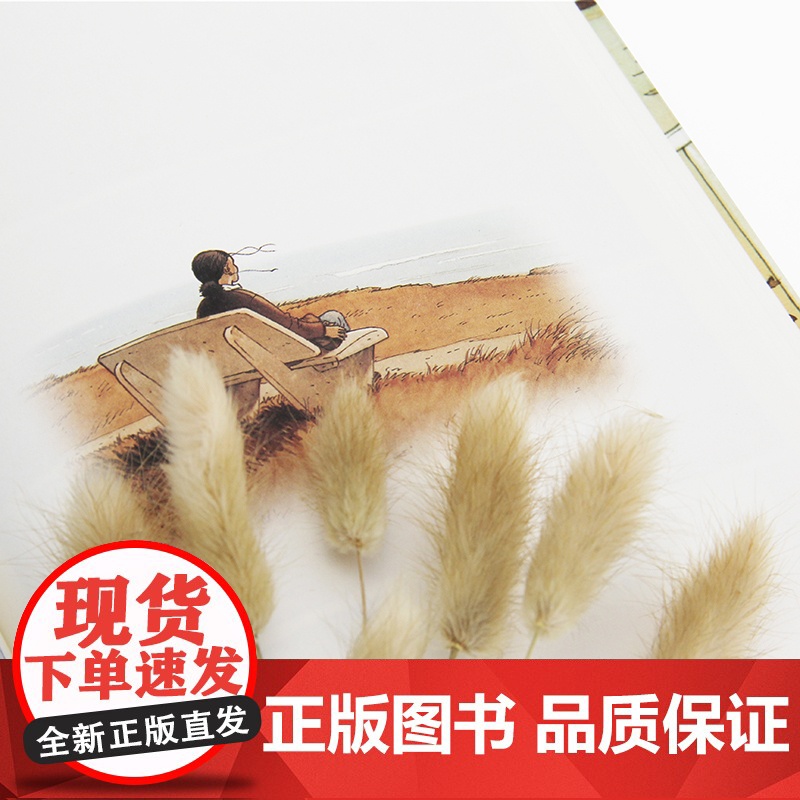 [央视网]海边的露露 一场没有预谋的自我放逐 一趟改变一切的离家出走 同名漫画改编电影荣获2015年凯撒奖改编剧本提名高清大图