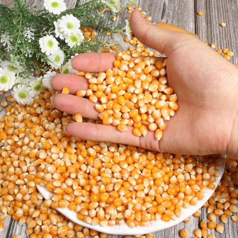 爆米花专用小玉米粒零食球形蝶形爆裂家庭自制商用小包装原料批发视频