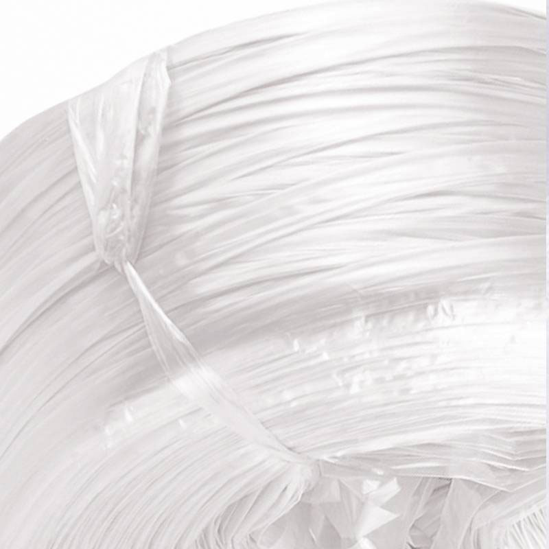鑫睿辉 捆扎绳塑料绳包装绳 宽4cm 5斤 卷高清大图