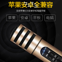 小屁虫KH 手机有线麦克风 电脑话筒全民K歌主播专用直播带声卡电容麦 支持安卓苹果K歌直播 K歌版+赠品