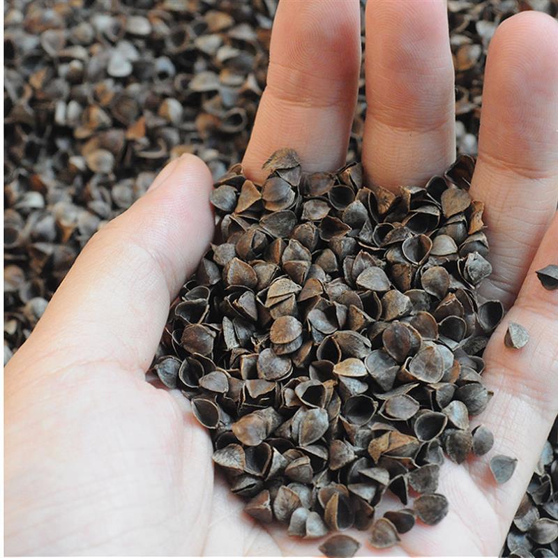 荞麦壳棱子皮高温免洗消毒婴儿荞麦皮枕芯