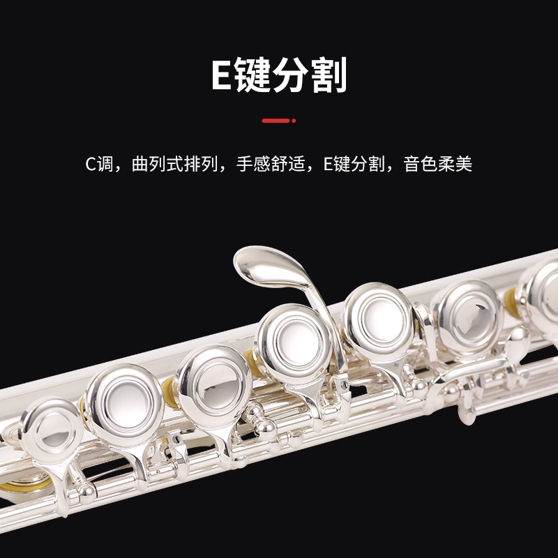 朗动(LMOVE) 长笛乐器LD-601B 16孔闭孔富贵银长笛学生初学儿童入门考级演奏