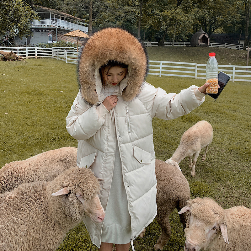 2025年新款冬季羽绒棉服女中长款棉衣宽松棉袄韩版大码面包服外套高清大图
